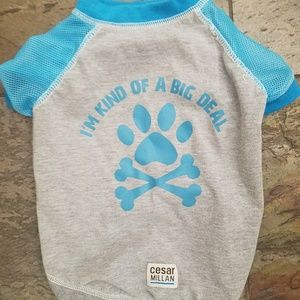 T shirt for your dog
